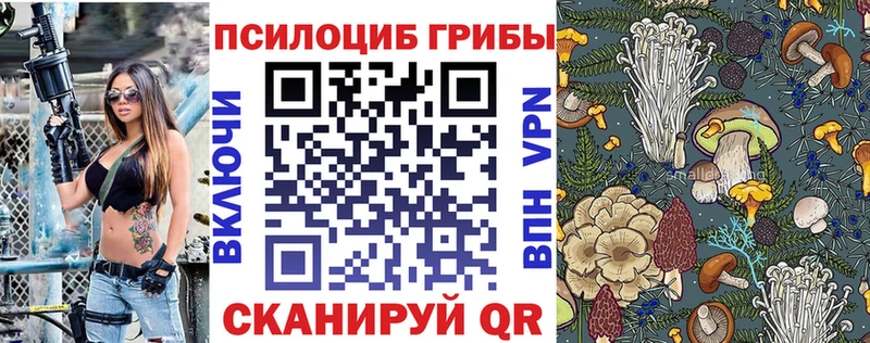 Псилоцибиновые грибы MAGIC MUSHROOMS  Кудымкар 